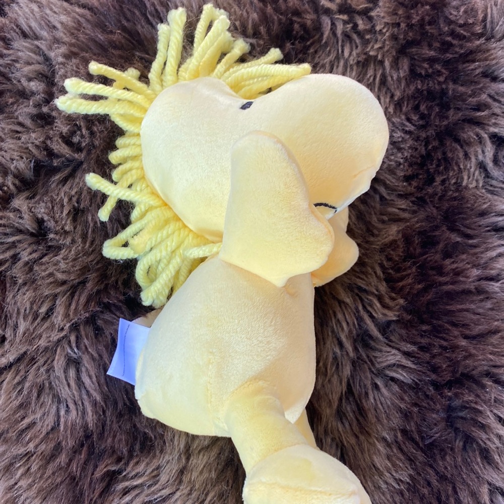 Peanuts - Picture 7 of 11